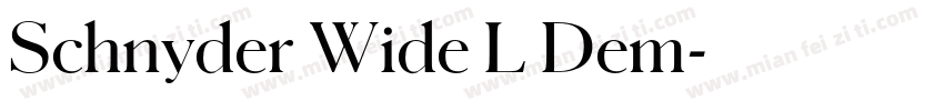 Schnyder Wide L Dem字体转换